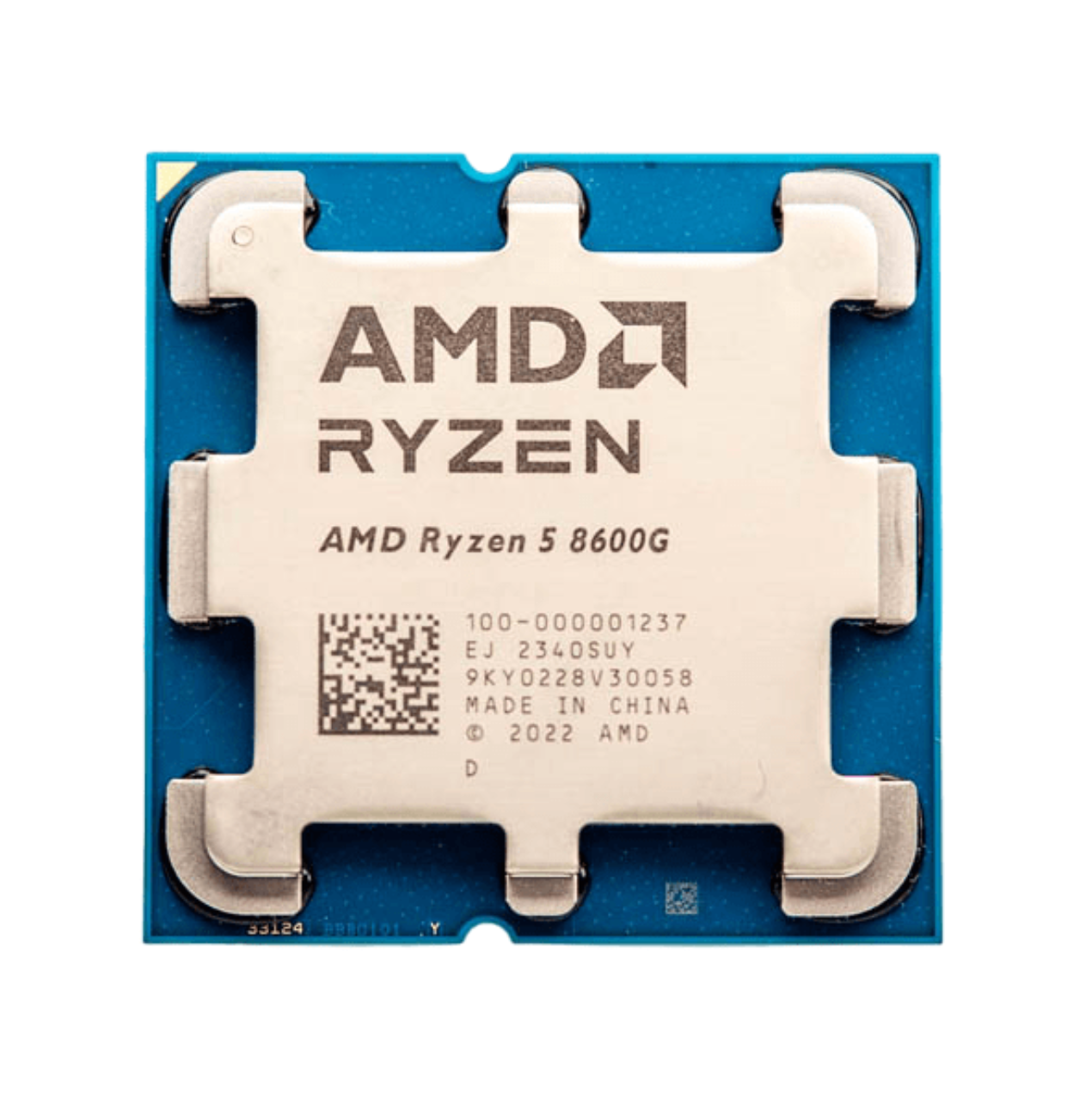 AMD Ryzen 5 8600G